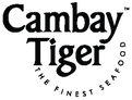 Cambay Tiger